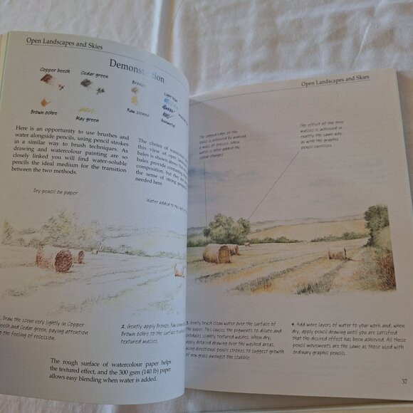 2 Trouble-Shooting Drawing & Watercolor Problems And Solutions By Trudy Friend - Picture 5 of 6